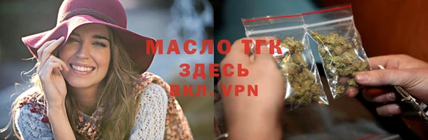 индика Киренск