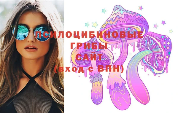 индика Киренск
