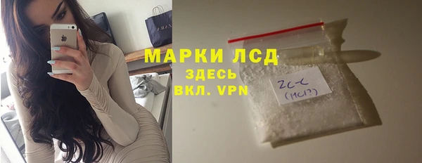 индика Киренск