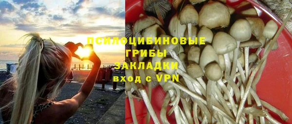 mdpv Шадринск